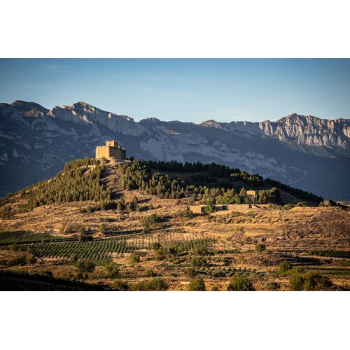 Tasting – All About Spanish Tempranillo on February 20th @ 7:30pm