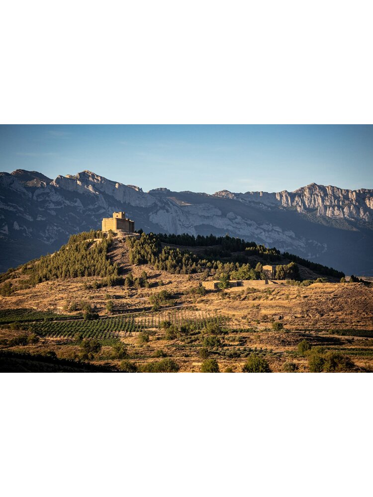 Tasting – All About Spanish Tempranillo on February 20th @ 7:30pm