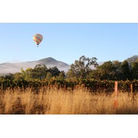 Tasting – All About Cabernet Sauvignon on February 6th @ 7:30pm