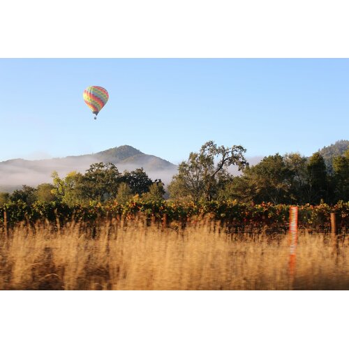 Tasting – All About Cabernet Sauvignon on February 6th @ 7:30pm