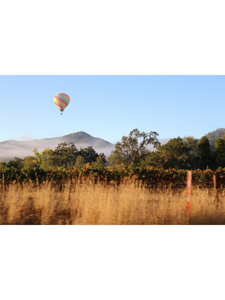 Tasting – All About Cabernet Sauvignon on February 6th @ 7:30pm