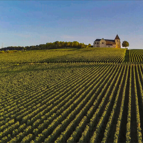 Tasting – 1st Day of Spring Champagne Event! Grand & Premier Cru Grower Champagnes on March 20th @ 7:30pm