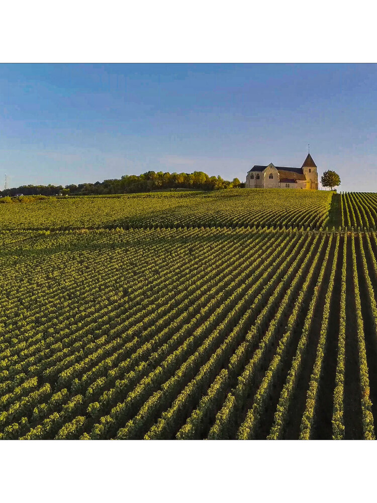 Tasting – 1st Day of Spring Champagne Event! Grand & Premier Cru Grower Champagnes on March 20th @ 7:30pm