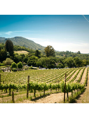 Tasting – Our Finest Sonoma Pinot Noirs on March 13th @ 7:30pm