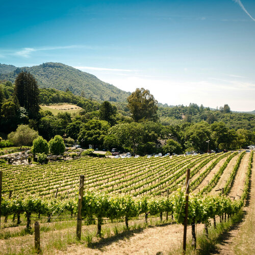 Tasting – Our Finest Sonoma Pinot Noirs on March 13th @ 7:30pm