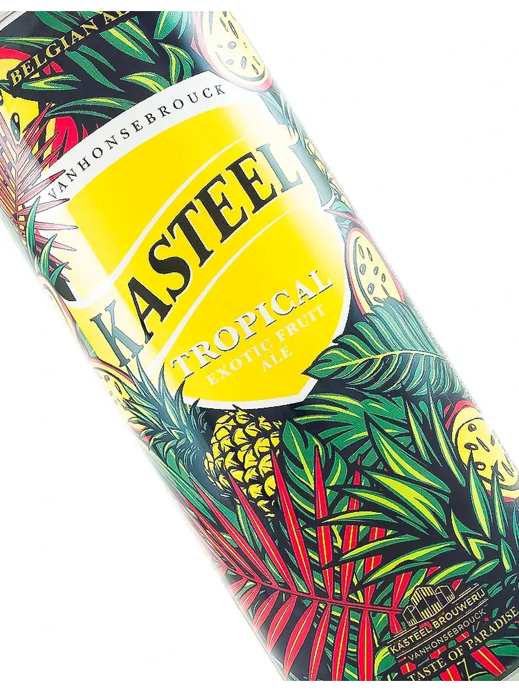 Kasteel "Tropical" Fruit Ale 16.9oz Can - Belgium