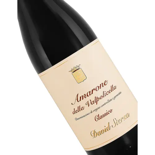 David Sterza 2020 Amarone della Valpolicella Classico, Veneto Italy