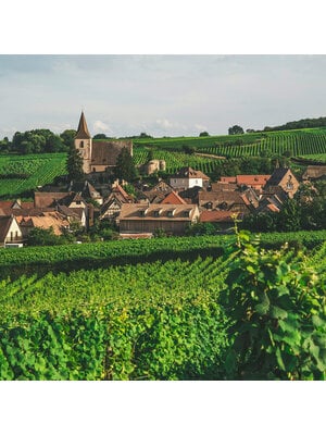 Tasting – French Wine 101: Alsace, Savoie & Eastern France on April 24th @ 7:30pm