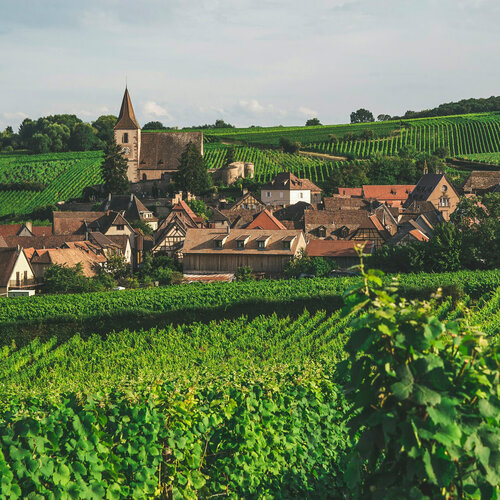 Tasting – French Wine 101: Eastern France on April 24th @ 7:30pm
