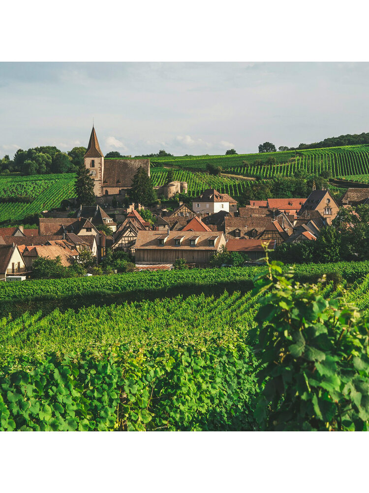 Tasting – French Wine 101: Alsace, Savoie & Eastern France on April 24th @ 7:30pm