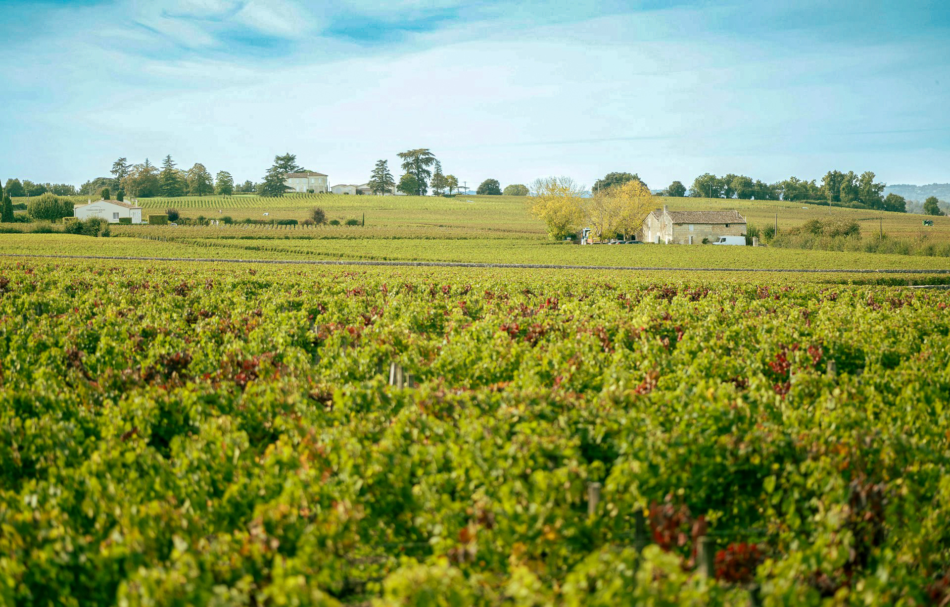 The Wine Country's Blog - Is it Any Surprise that Red Bordeaux Still ...