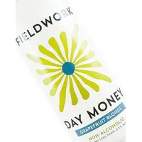 Fieldwork Brewing "Day Money" Grapefruit Blonde Non-Alcoholic 16oz Can - San Leandro, CA