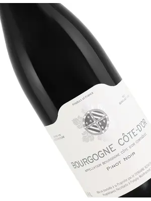 Sylvain Bzikot 2023 Bourgogne Cote d'Or Pinot Noir, Burgundy