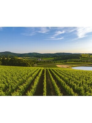 Tasting – Why We Love Oregon Wine! on May 29th @ 7:30pm