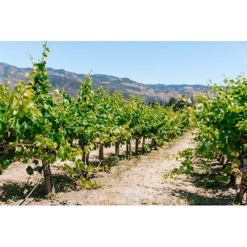 Tasting – Napa Valley Treasures on May 1st @ 7:30pm