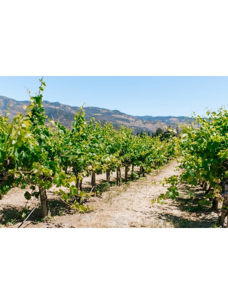 Tasting – Napa Valley Treasures on May 1st @ 7:30pm