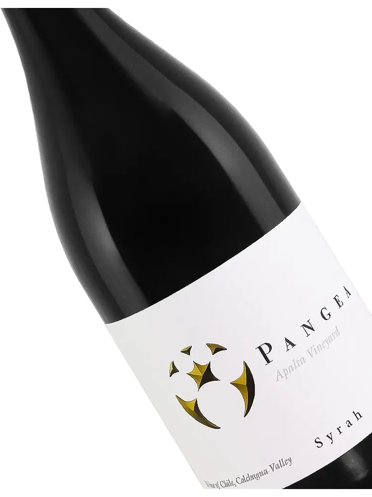 Ventisquero "Pangea" 2017 Syrah, Apalta Vineyard, Colchagua Valley, Chile