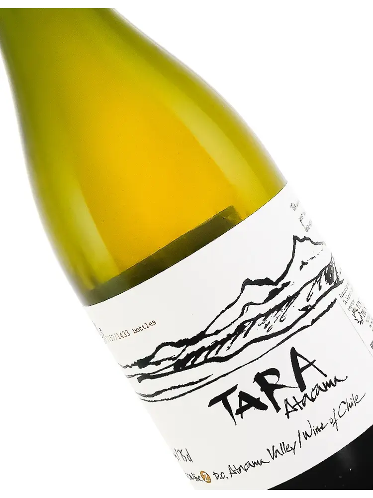 Ventisquero N.V. Viognier "Tara Atacama", Chile