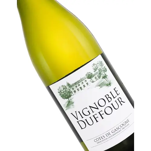 May's Wine of the Month – Domaine Duffour 2024 Cotes de Gascogne Blanc, Southwest France