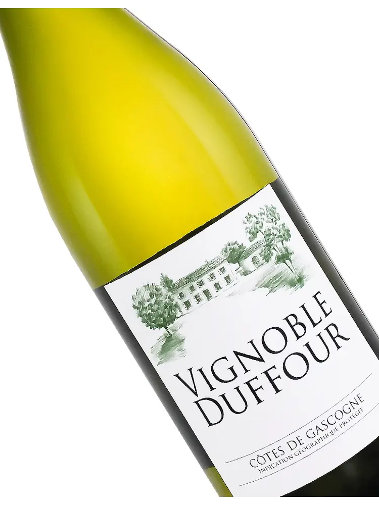 May's Wine of the Month – Domaine Duffour 2024 Cotes de Gascogne Blanc, Southwest France