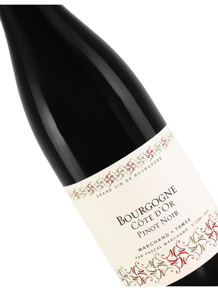 Marchand-Tawse 2023 Bourgogne Pinot Noir "Cote D'Or", Burgundy
