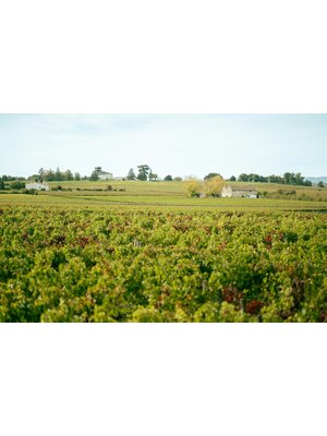 Tasting – Left Bank Red Bordeaux on July 24th @ 7:30pm