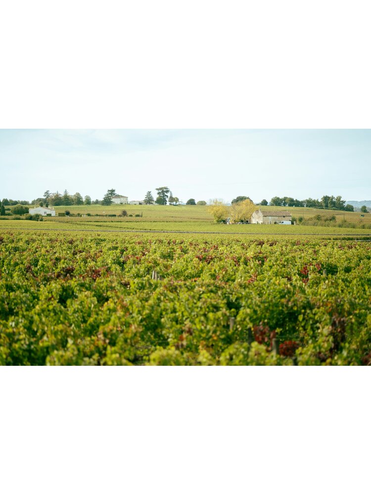 Tasting – Left Bank Red Bordeaux on July 24th @ 7:30pm