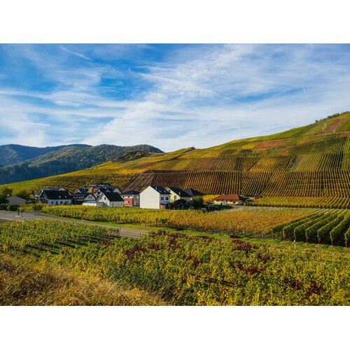 Tasting – Wine Hall of Fame: German Riesling on July 17th @ 7:30pm