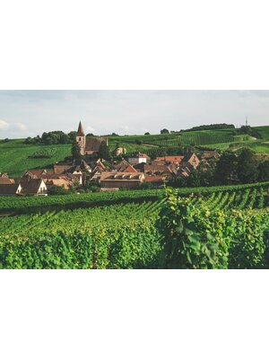 Tasting – Tour de France with Guest Importer Aline Thiebaut on July 10th @ 7:30pm