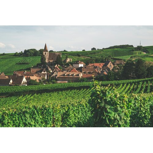 Tasting – Tour de France with Guest Importer Aline Thiebaut on July 10th @ 7:30pm