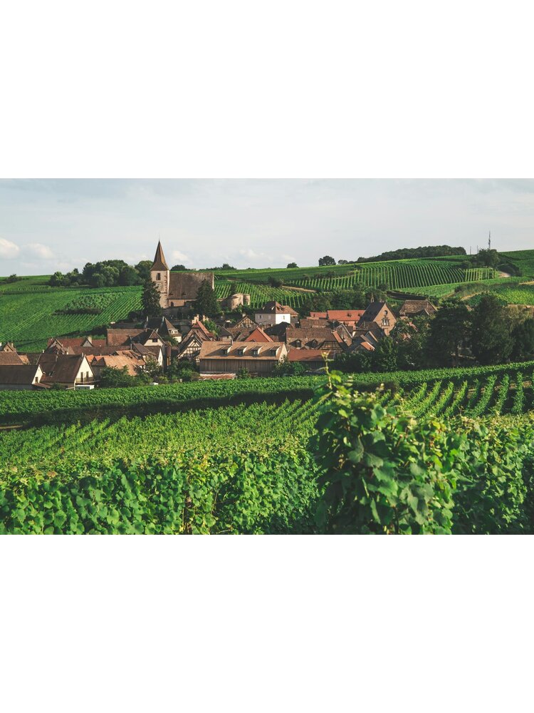 Tasting – Tour de France with Guest Importer Aline Thiebaut on July 10th @ 7:30pm
