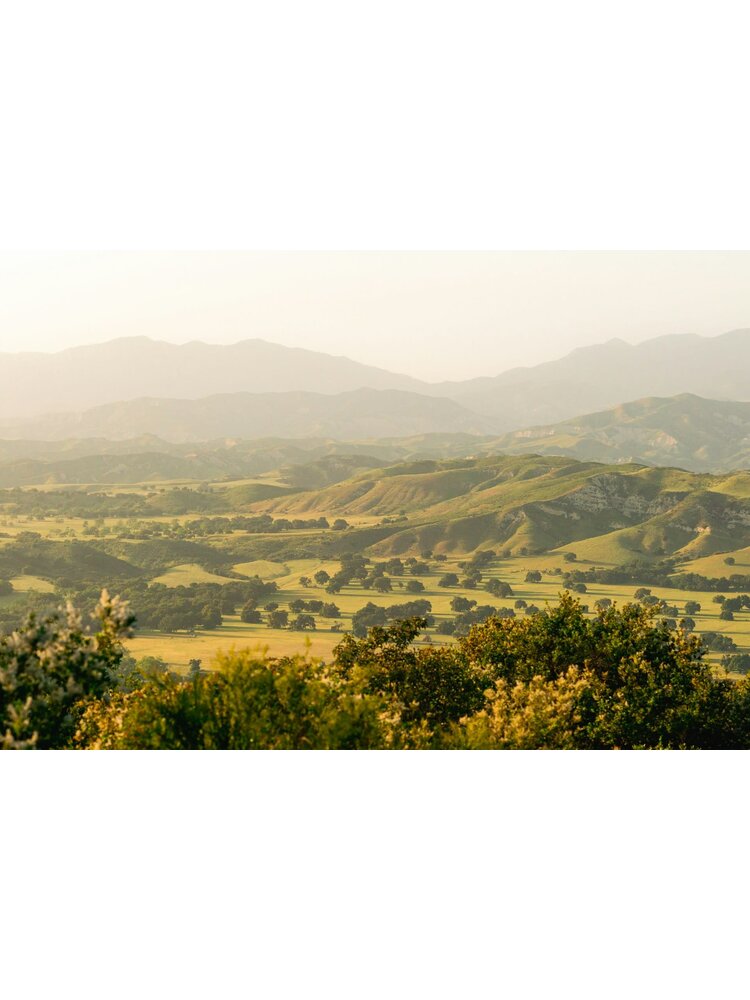 Tasting –  Santa Barbara Adventure! on July 3rd @ 7:30pm
