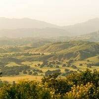 The Santa Barbara County Wine Boom, Decades in the Making