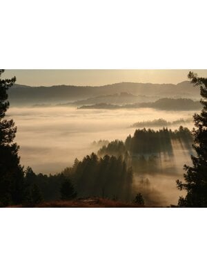 Tasting – Spotlight on Russian River Valley Pinot & Chardonnay on August 7th @ 7:30pm