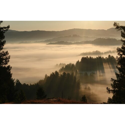 Tasting – Spotlight on Russian River Valley Pinot & Chardonnay on August 7th @ 7:30pm