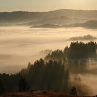 The Magic of Russian River Valley – The Home of America’s Greatest Pinot Noirs & Chardonnays,  Perhaps?