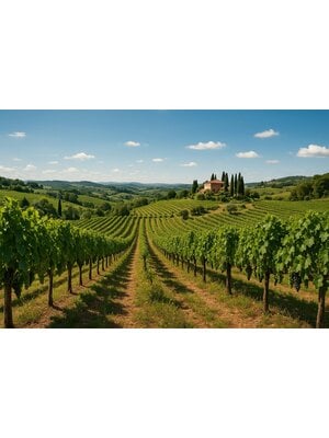 Tasting – Kevin's Italian Adventure on September 18th @ 7:30pm