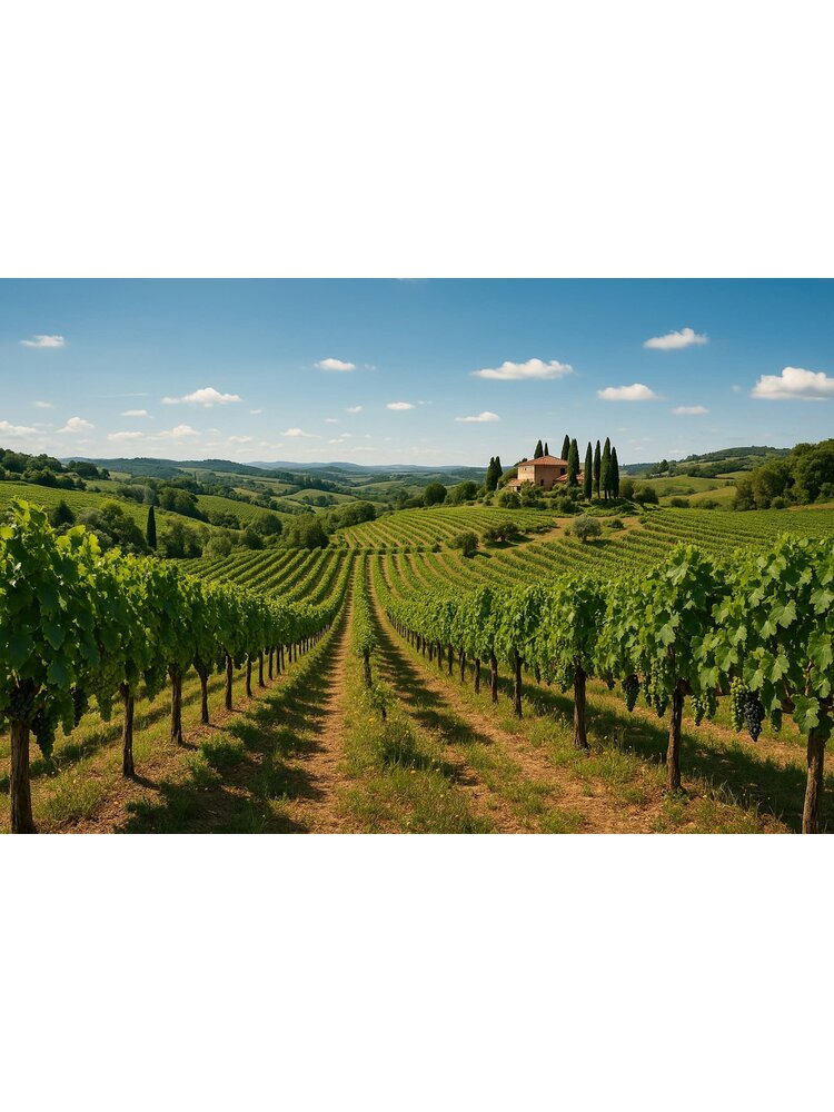 Tasting – Kevin's Italian Adventure on September 18th @ 7:30pm