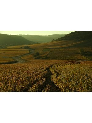 Tasting – The Basics of French Wine on September 25th @ 7:30pm