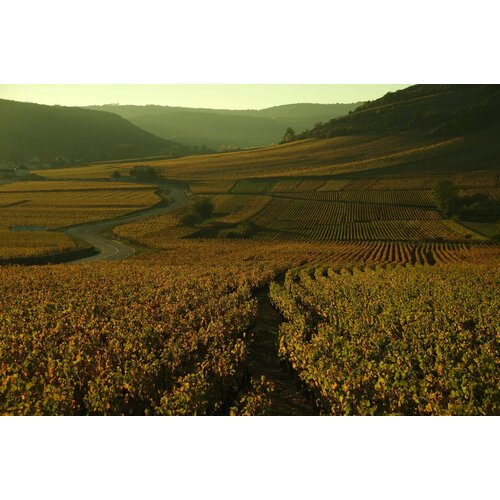 Tasting – The Basics of French Wine on September 25th @ 7:30pm