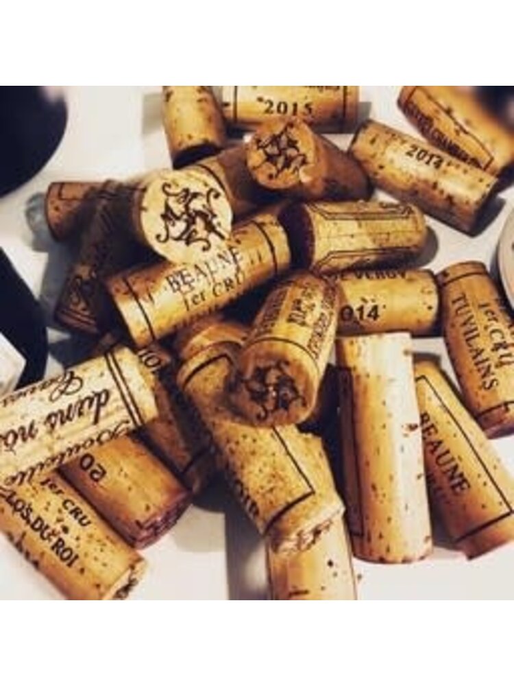 Au Bon Climat 2024 Chardonnay, Santa Barbara County