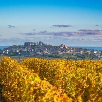 Sancerre & Friends