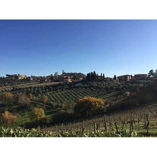 Tasting – Best of Tuscany on October 30th @ 7:30pm
