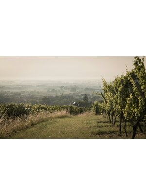Tasting – A Night with Chablis on October 16th @ 7:30pm