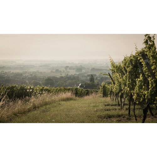 Tasting – A Night with Chablis on October 16th @ 7:30pm
