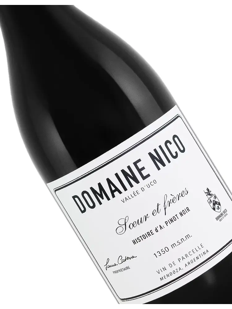 Domaine Nico 2022 Pinot Noir "Soeur et Freres", Mendoza, Argentina