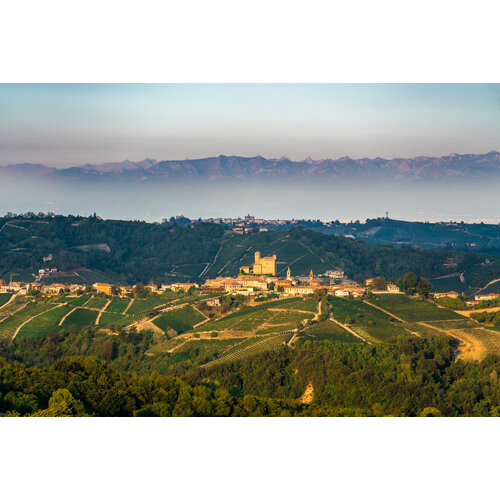 Tasting – Best of Barolo & Barbaresco on November 27th @ 7:30pm
