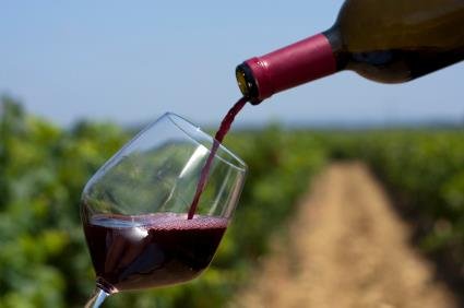 The Wines of Baja: Discovering Surprising Quality