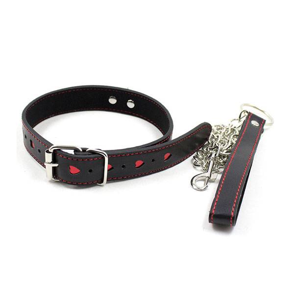 Premium Products Collar & Leash with Red Heart Detail