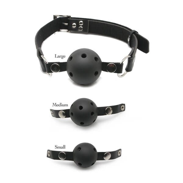 Pipedream Products Fetish Fantasy Ball Gag Training System